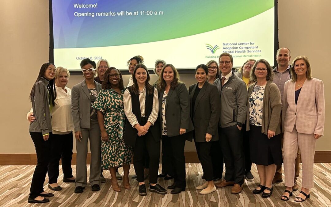 National Center Launches Intensive Technical Assistance in Illinois 